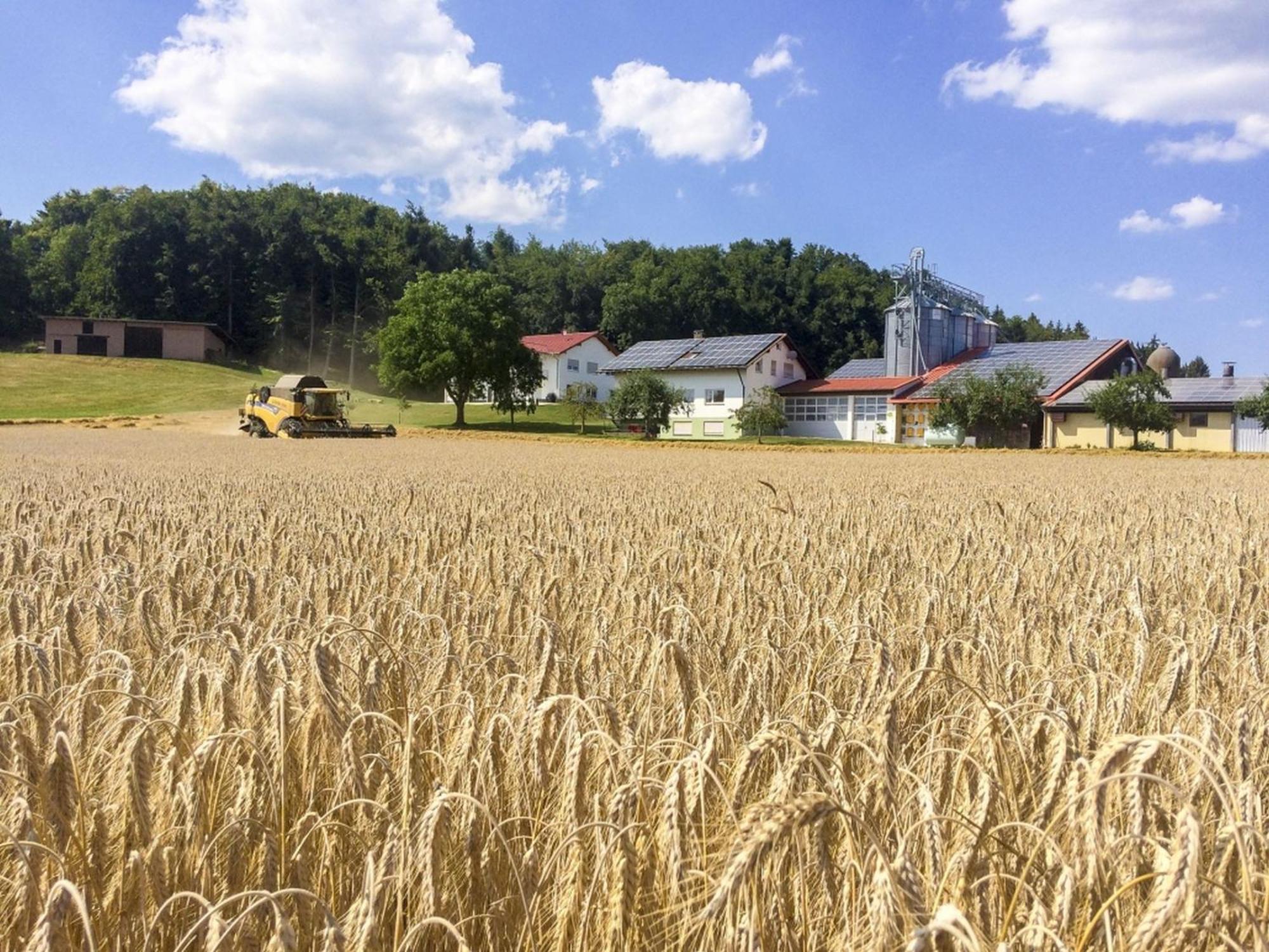 Hof Am Horn - Fewos In Der Natur Laichingen Extérieur photo